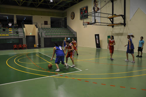 sbbl (81)